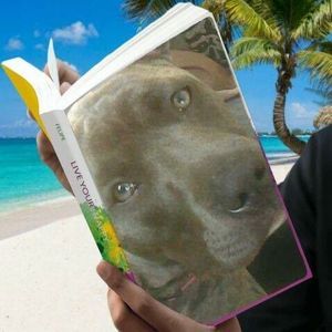 Meet your Posher, Chrissy